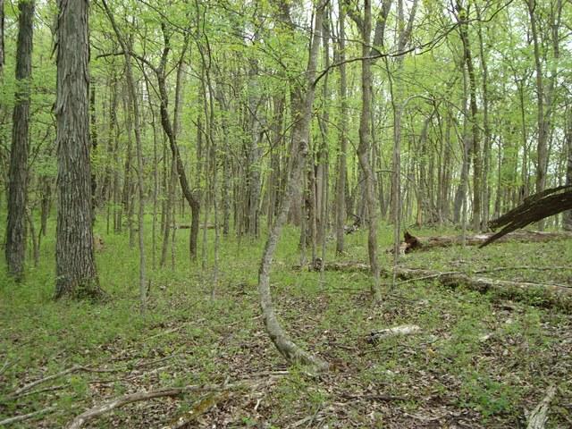1 Fiducia Road Pulaski, TN 38478 - Photo 5 of 19 Hunters Paridise