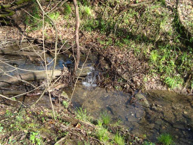 1 Fiducia Road Pulaski, TN 38478 - Photo 7 of 19 Creek 3
