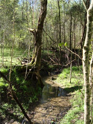 1 Fiducia Road Pulaski, TN 38478 - Photo 8 of 19 Creek