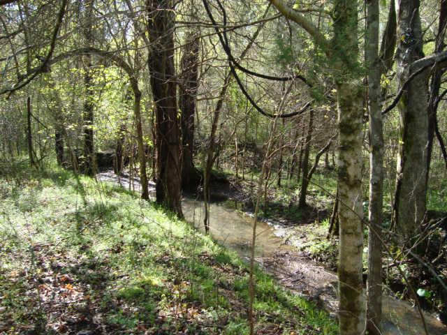 1 Fiducia Road Pulaski, TN 38478 - Photo 9 of 19 Creek 4