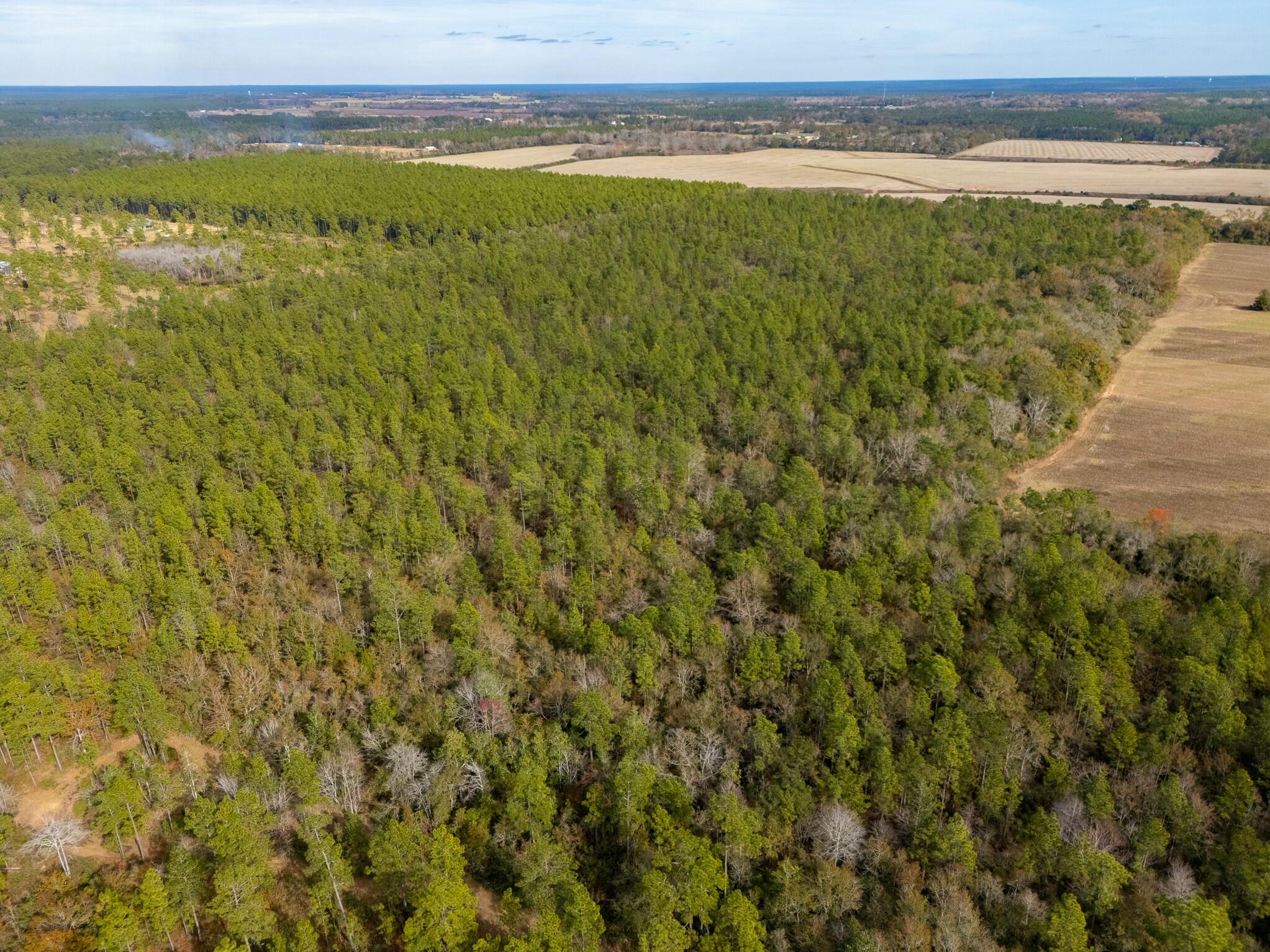 0 North Bob Brooks Road Baker, FL 32531 - Photo 2 of 8 a view of an ocean and mountain