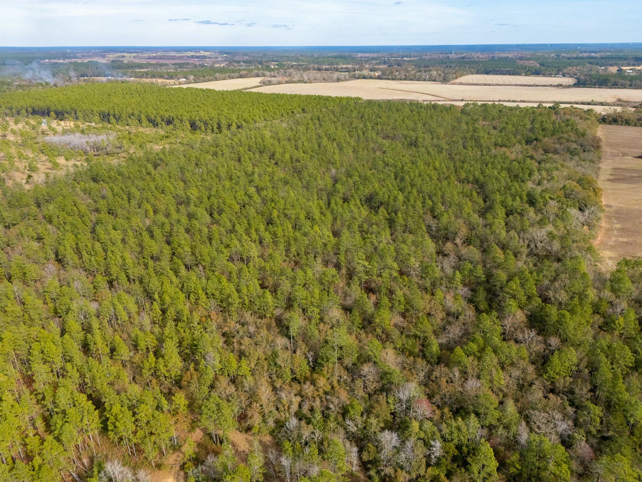 0 North Bob Brooks Road Baker, FL 32531 - Photo 3 of 8 a view of an ocean and mountain