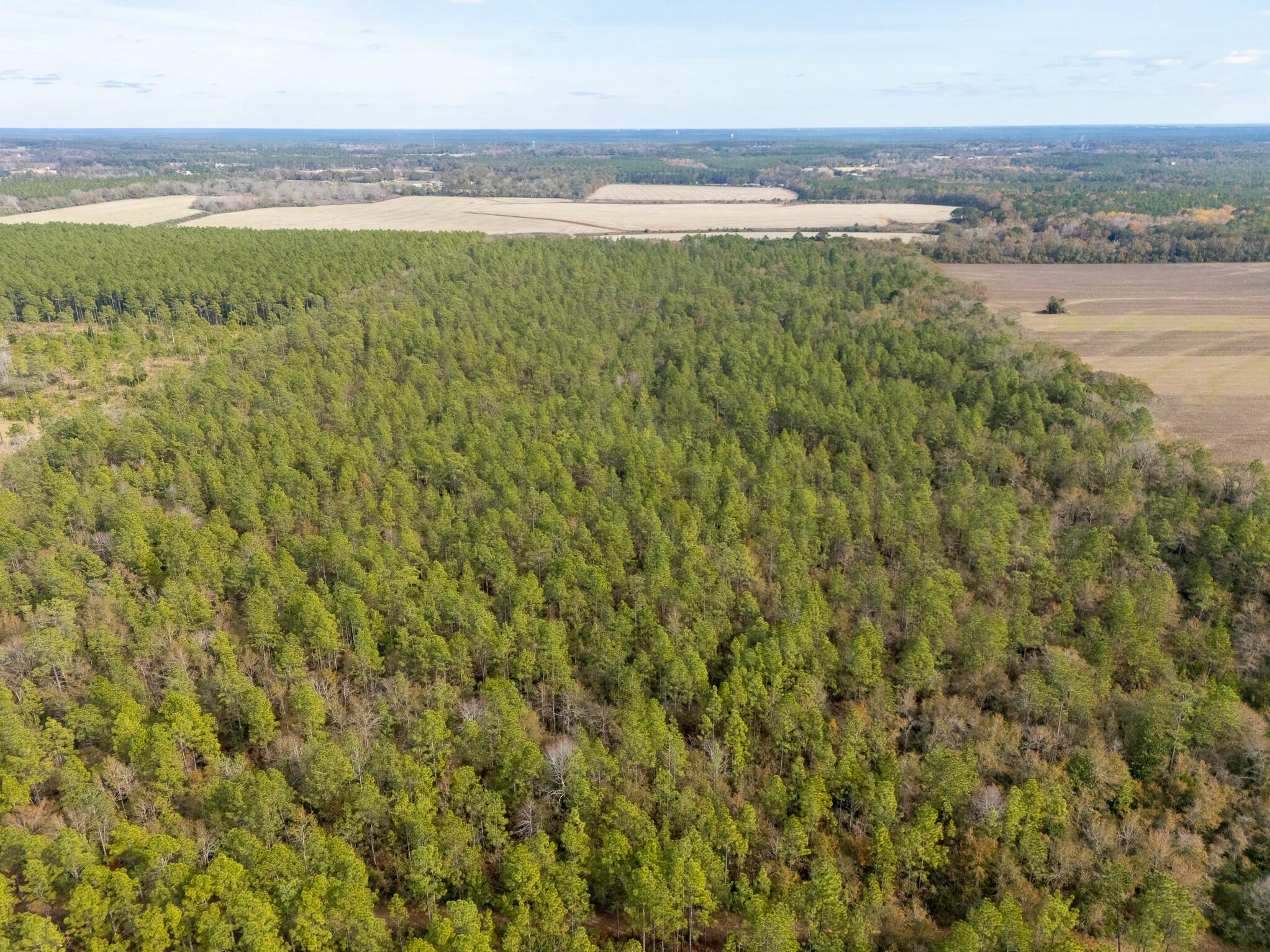 0 North Bob Brooks Road Baker, FL 32531 - Photo 5 of 8 a view of an ocean and beach