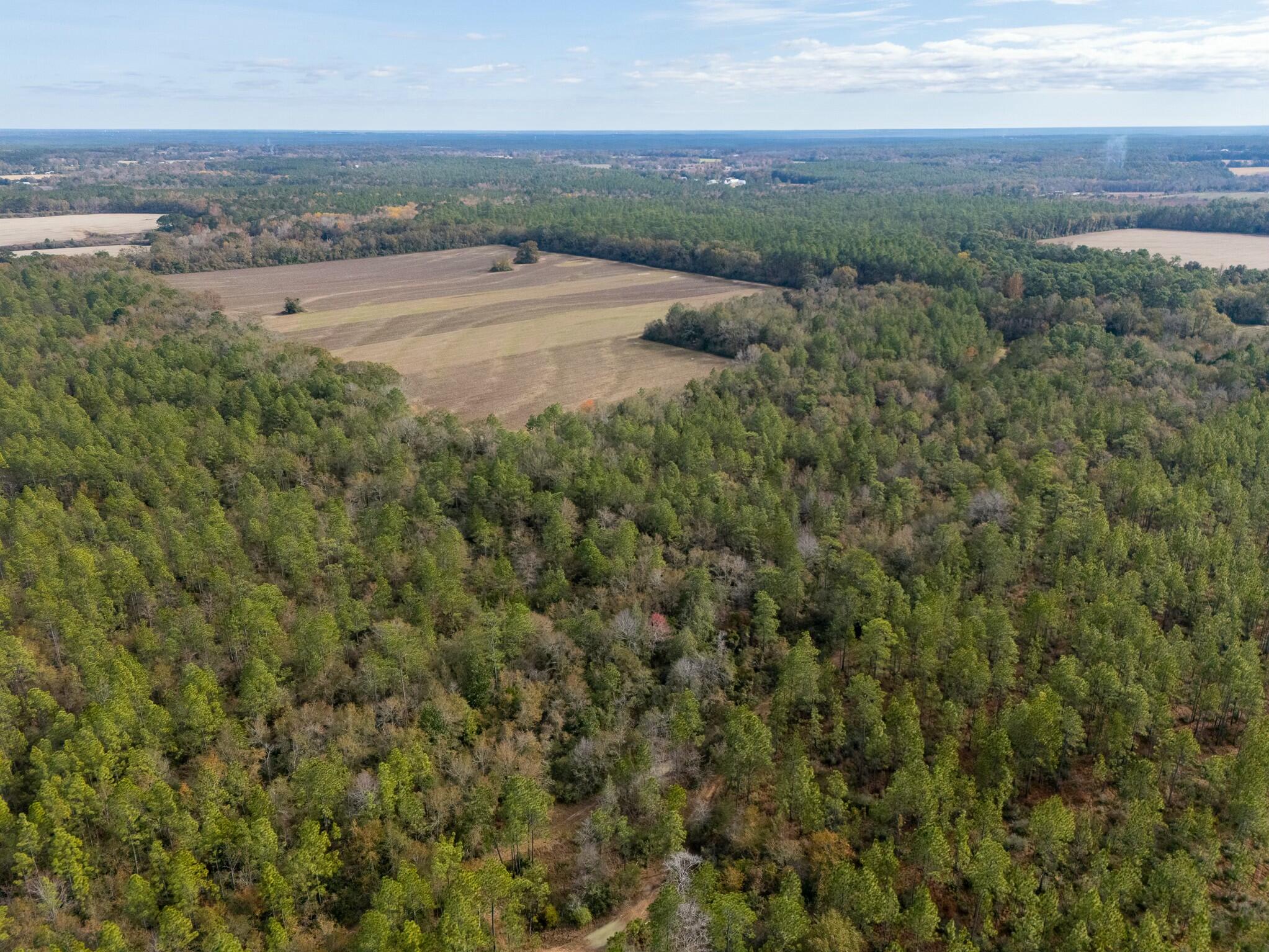 0 North Bob Brooks Road Baker, FL 32531 - Photo 6 of 8 a view of a field with an ocean view