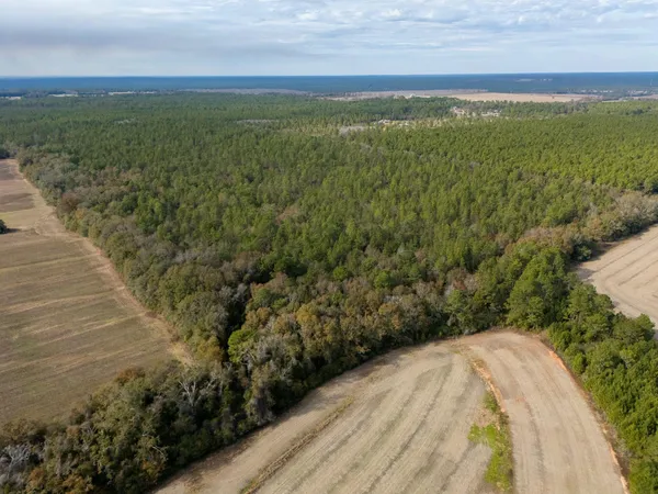 a view of a field with an ocean