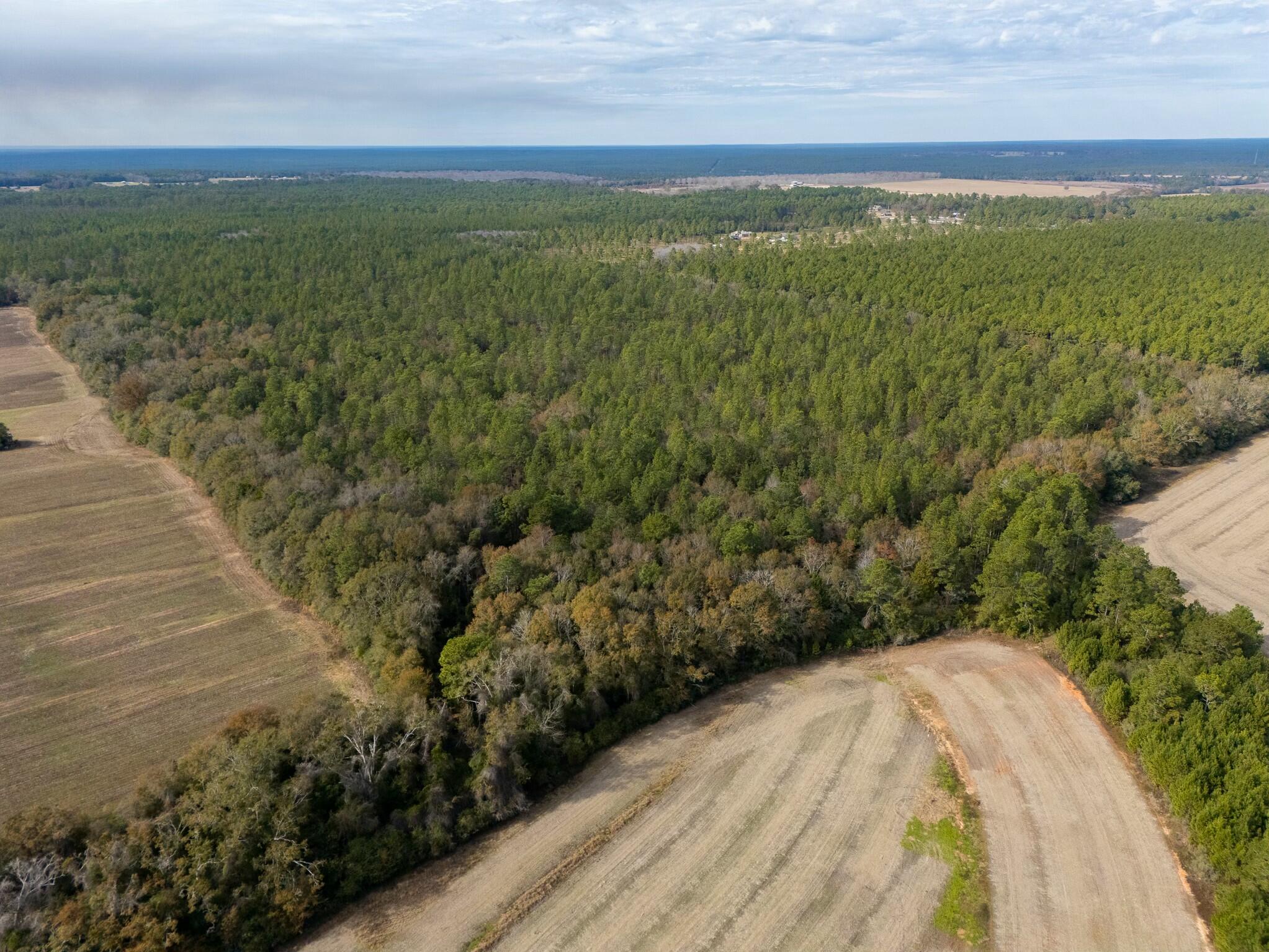 0 North Bob Brooks Road Baker, FL 32531 - Photo 7 of 8 a view of a field with an ocean