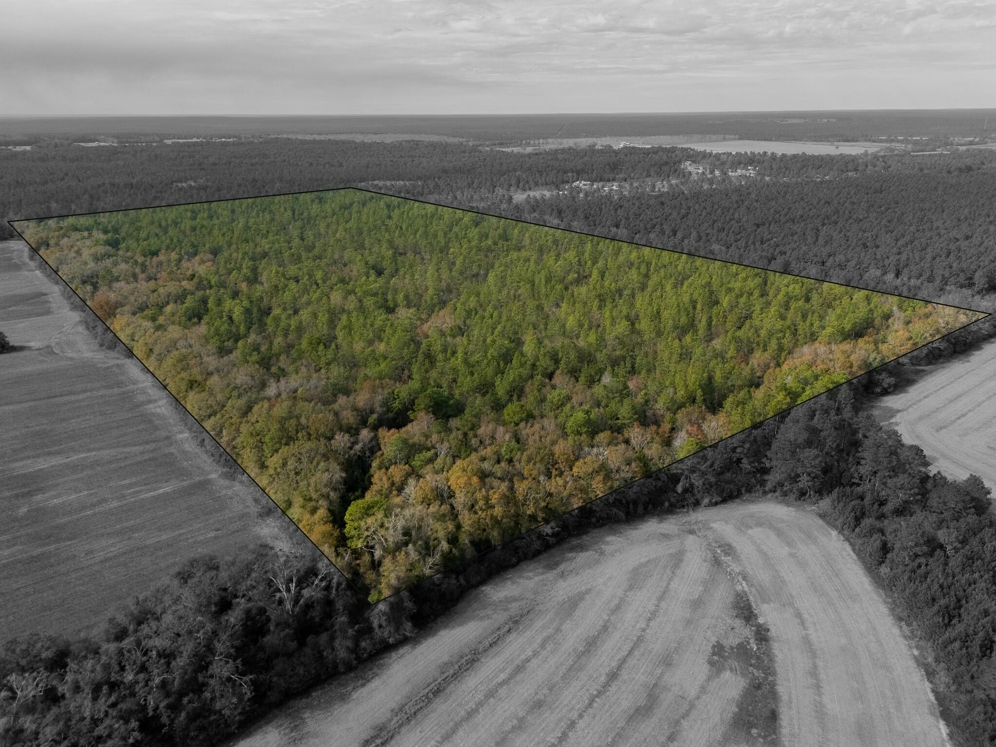 0 North Bob Brooks Road Baker, FL 32531 - Photo 8 of 8 a view of a yard with an outdoor space
