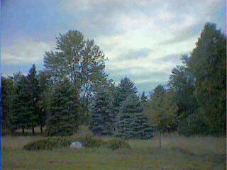 Primary Photo