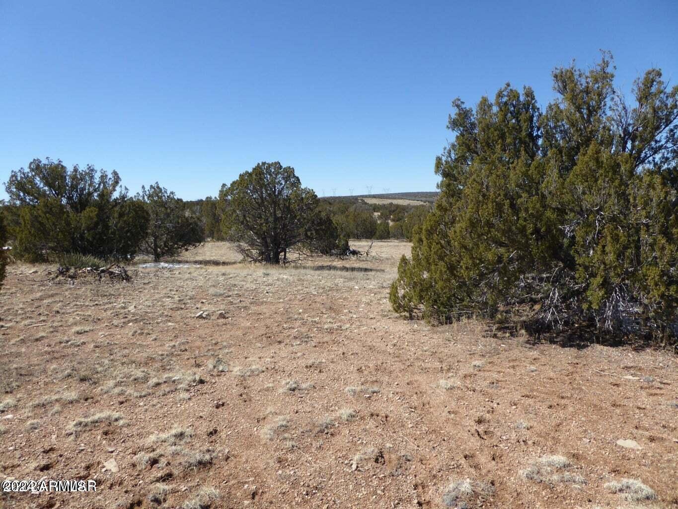 12 T14n R16e: Sw4 Se4 Heber, AZ 85928 - Photo 2 of 2 2