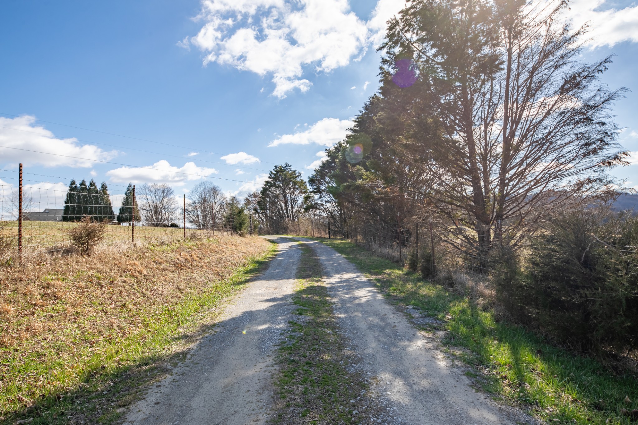 2791 East Sheepneck Road Culleoka, TN 38451 - Photo 41 of 89 Gallery Image 41