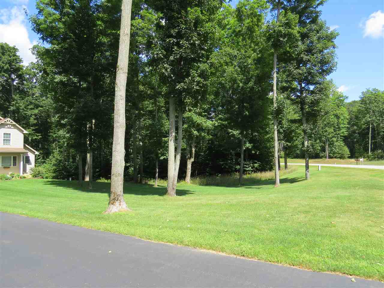 5085 Timber Ridge Drive Kingsley, MI 49649 - Photo 3 of 16 1805201-2.JPG