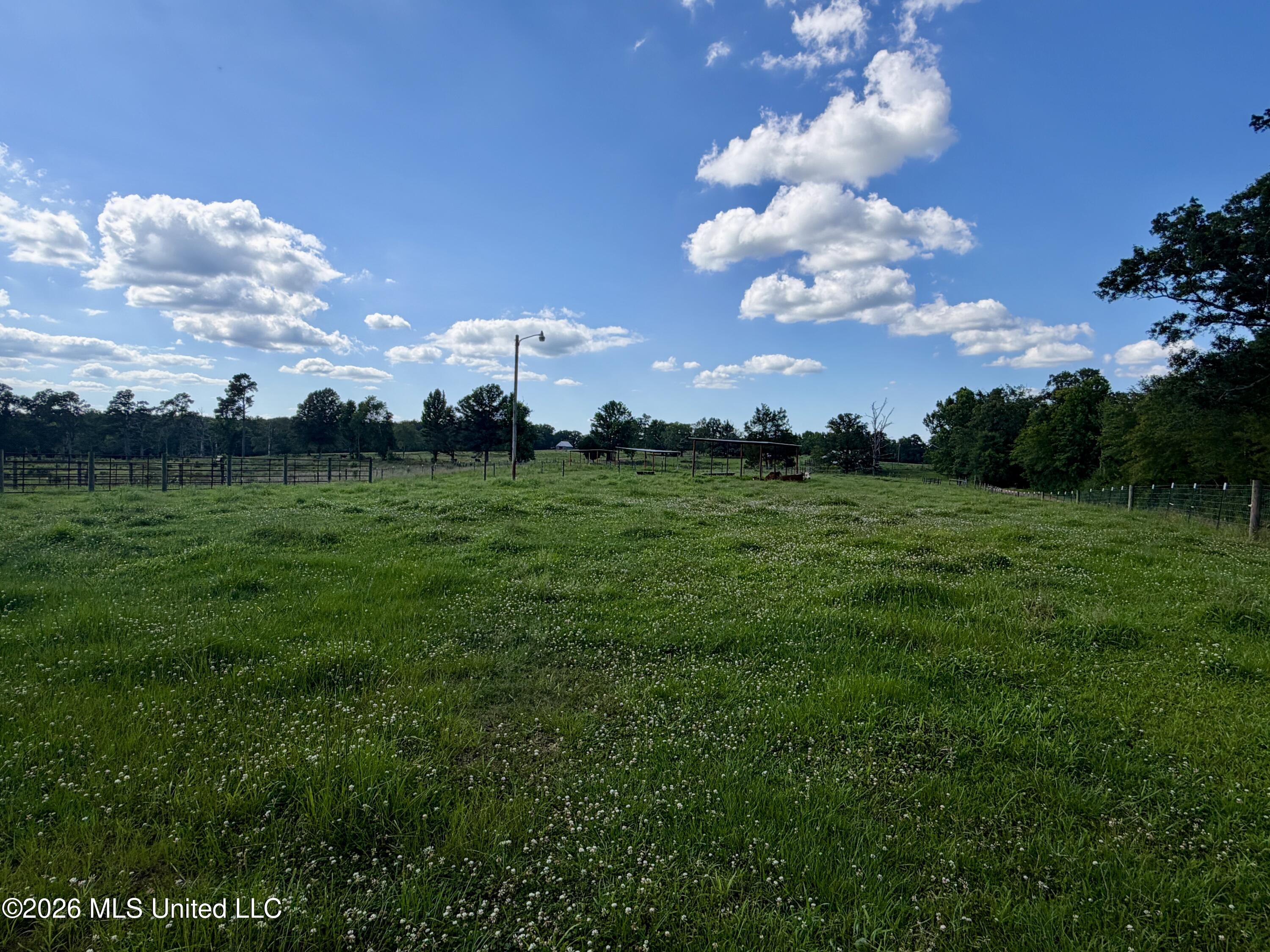 1071 Williams Road Wesson, MS 39191 - Photo 27 of 48 IMG_2812