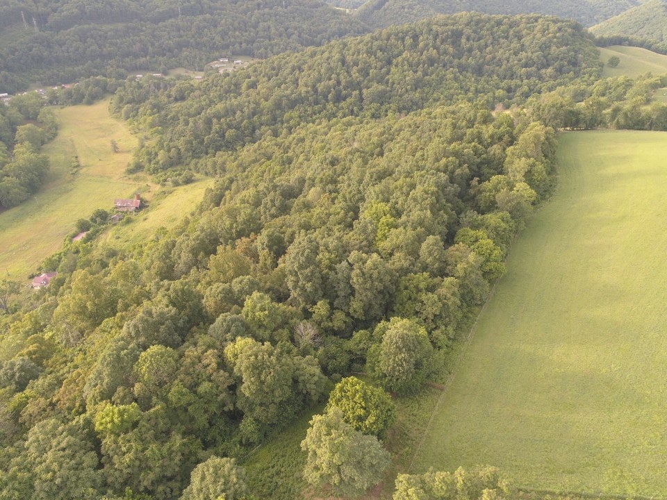 Tbd Cedar Branch Road Saltville, VA 24370 - Photo 14 of 41 Gallery Image 14