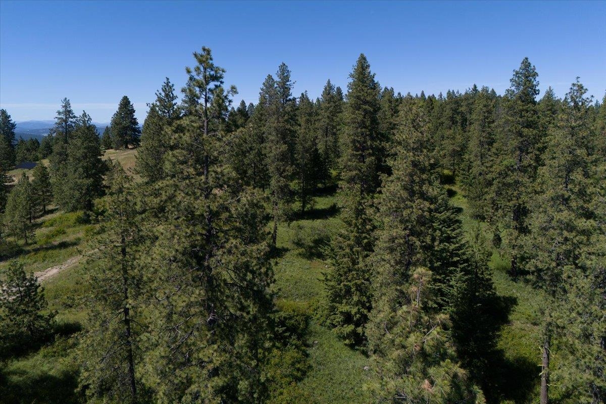 13925 East Hunters Rdg Lane Spokane, WA 99206 - Photo 7 of 9 Gallery Image 7