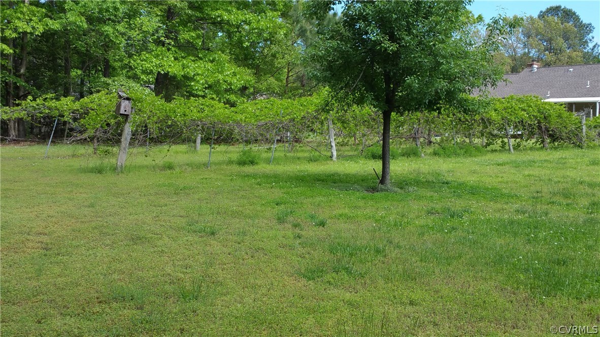 12620 Spring Run Road Chesterfield, VA 23832 - Photo 7 of 26 a backyard of a house with plants and large trees