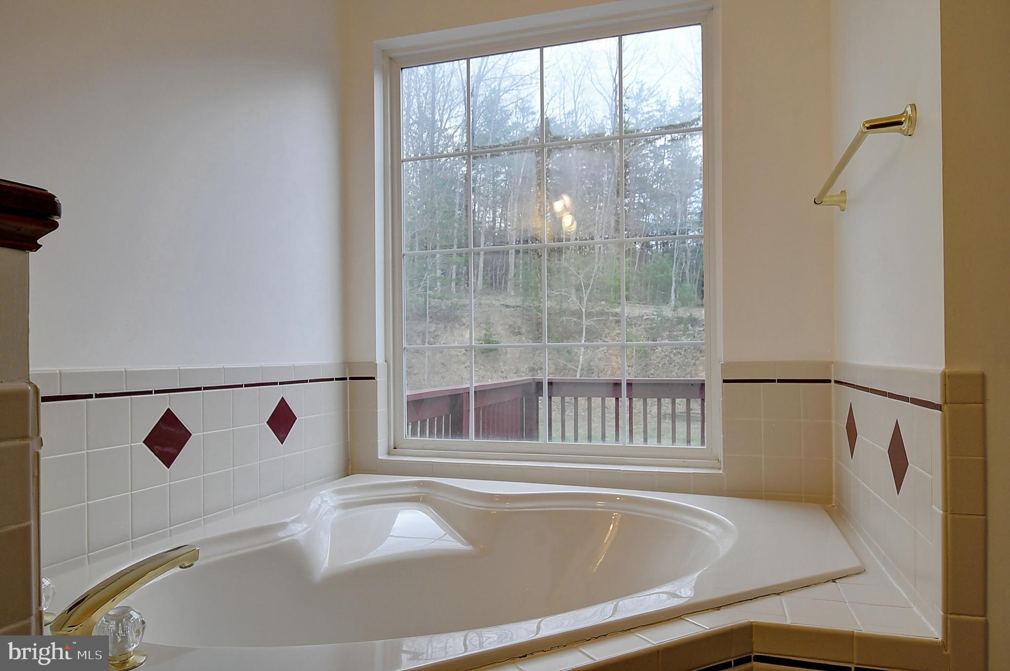 235 Peppermint Spring Lane Winchester, VA 22603 - Photo 56 of 90