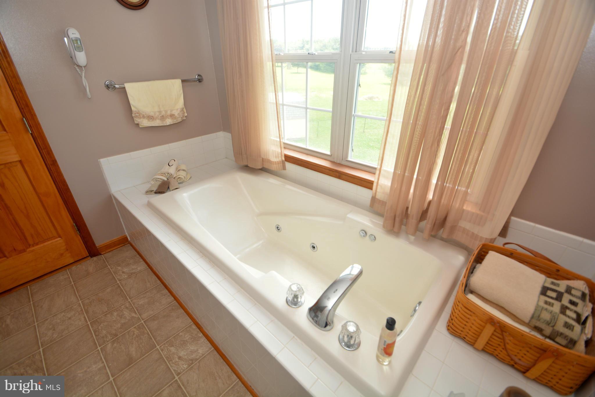 20 Towers Lane Rising Sun, MD 21911 - Photo 20 of 30 Bedroom (Master)