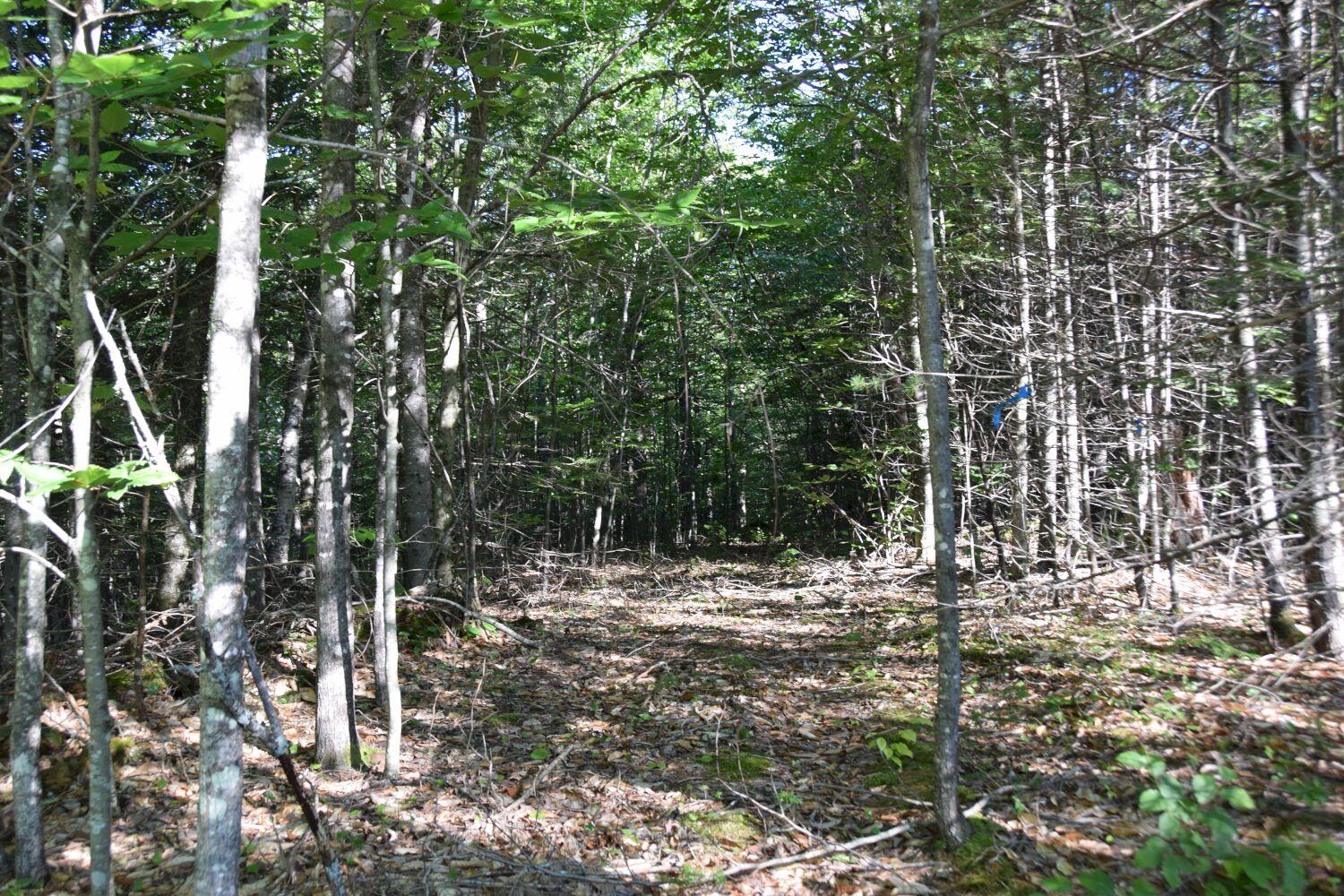 M10-l20-3 Embden Pond Road Embden, ME 04958 - Photo 21 of 37 DSC_0032_1