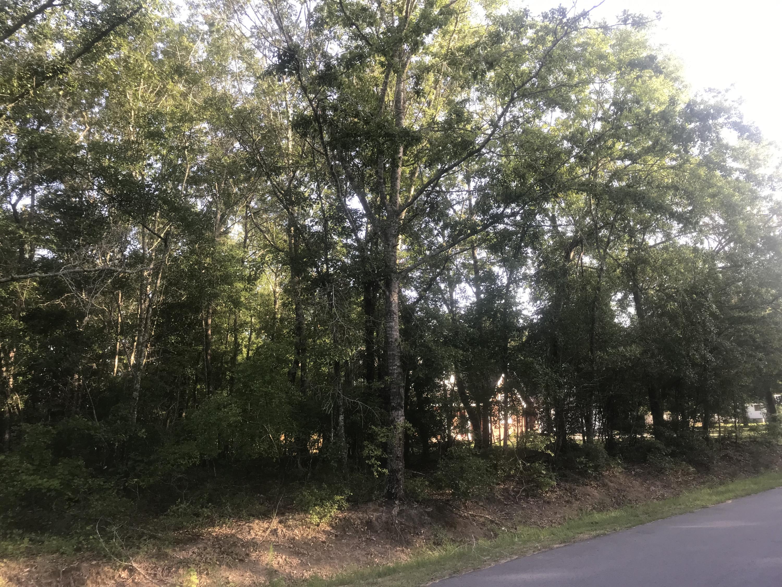 0 Capers Road, Unit LOT 260 Walterboro, SC 29488 - Photo 1 of 5 IMG_0478
