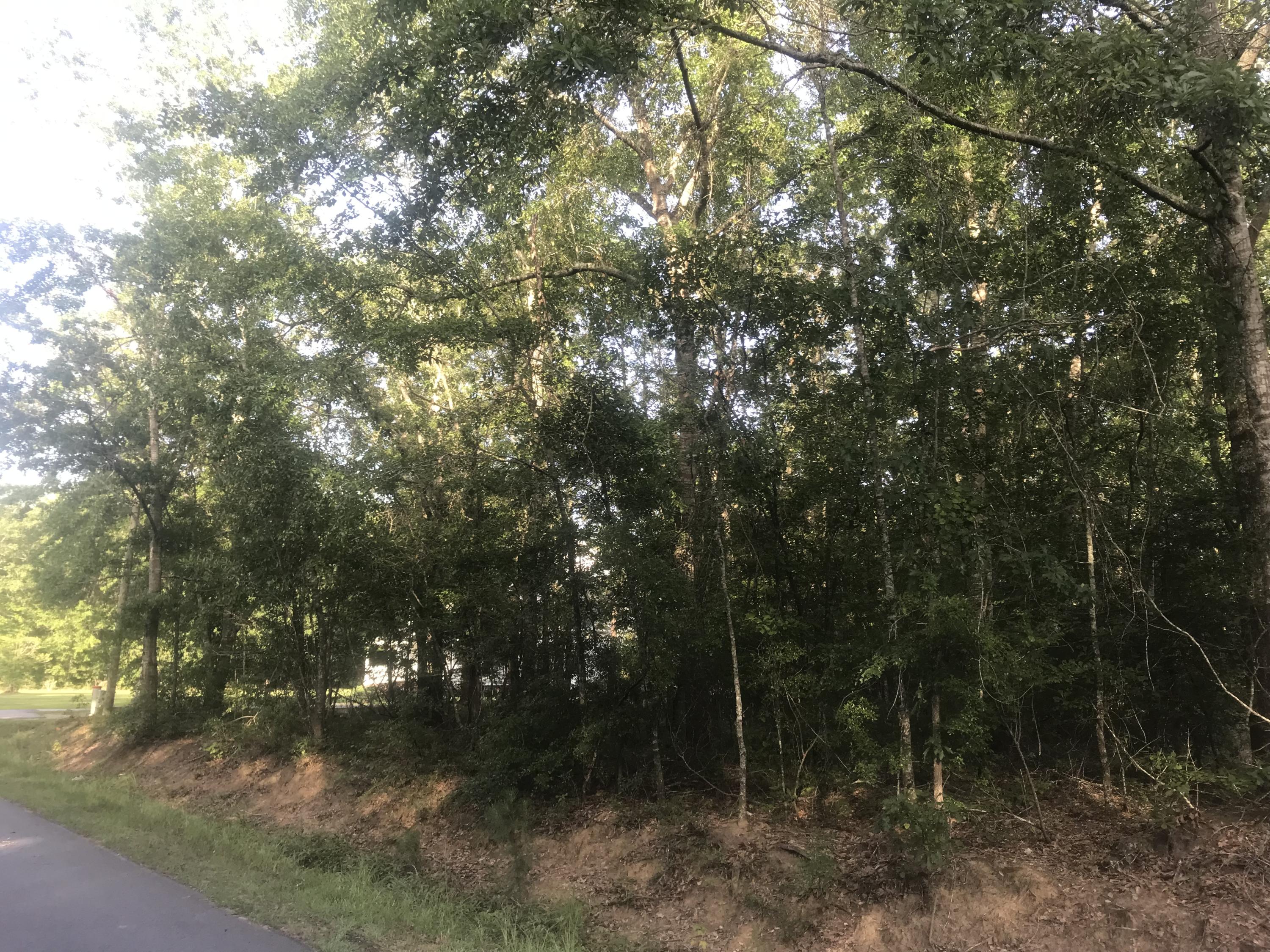 0 Capers Road, Unit LOT 260 Walterboro, SC 29488 - Photo 3 of 5 IMG_0480
