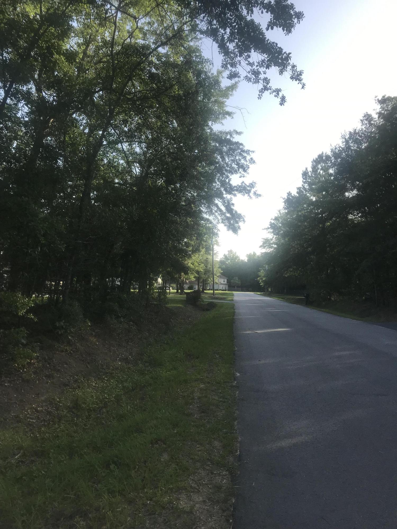 0 Capers Road, Unit LOT 260 Walterboro, SC 29488 - Photo 5 of 5 IMG_0482