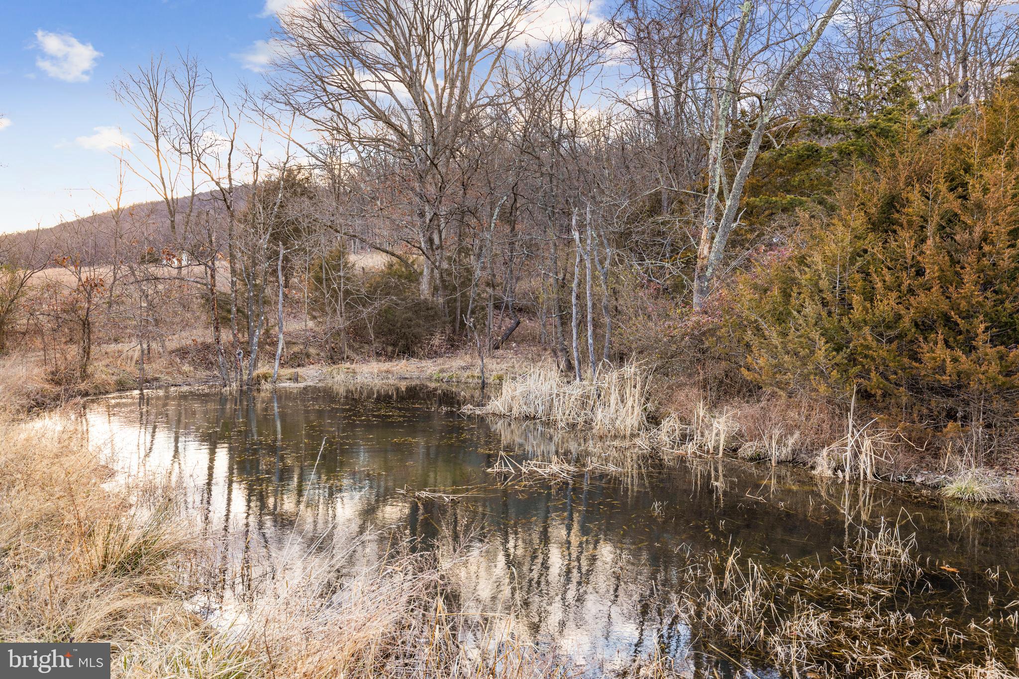 1501 Cottontown Road Strasburg, VA 22657 - Photo 18 of 35 Pond