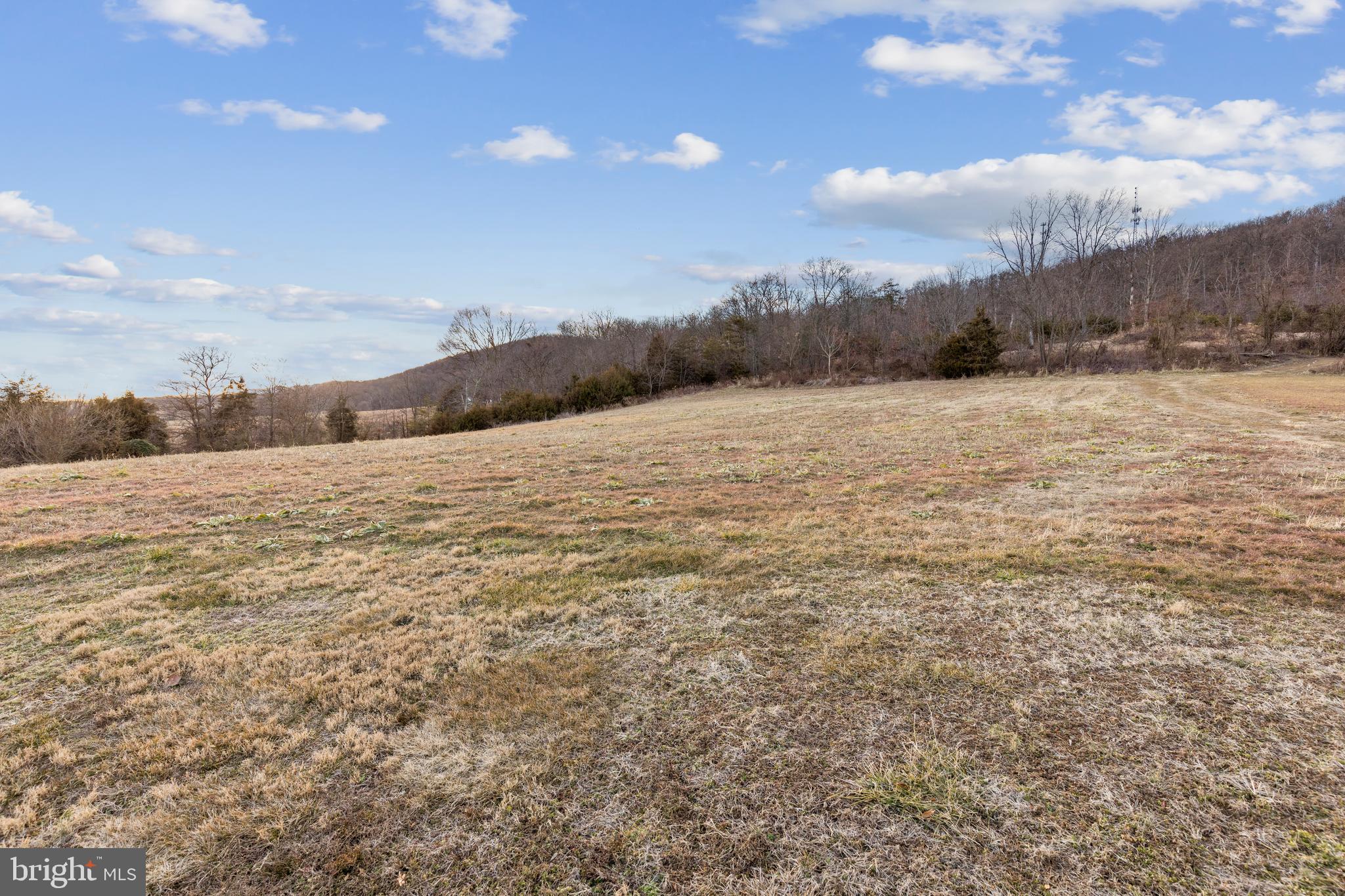 1501 Cottontown Road Strasburg, VA 22657 - Photo 31 of 35 Pasture