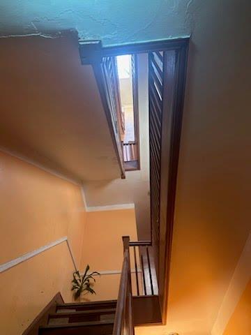 295 Schaefer Street Brooklyn, NY 11237 - Photo 5 of 9 a view of staircase with wooden floor and chair
