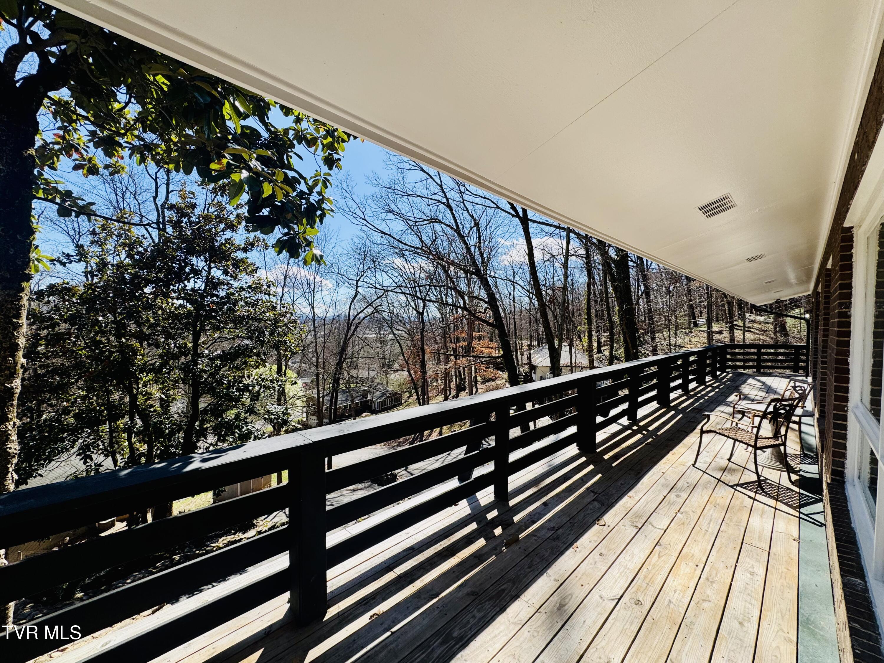 2 Rovan Court Johnson City, TN 37601 - Photo 35 of 86 IMG_9659