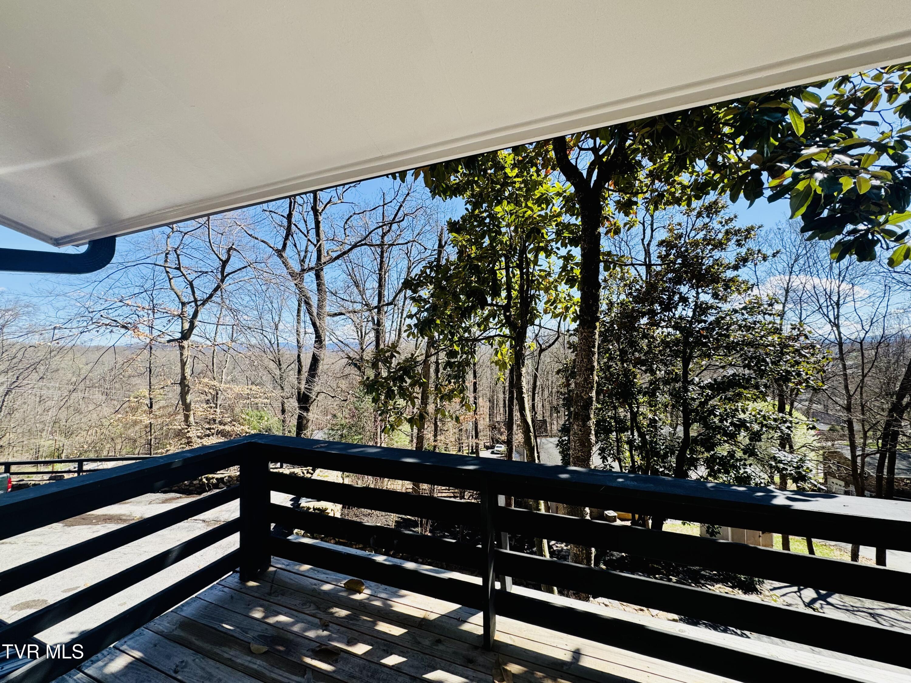 2 Rovan Court Johnson City, TN 37601 - Photo 39 of 86 IMG_9657