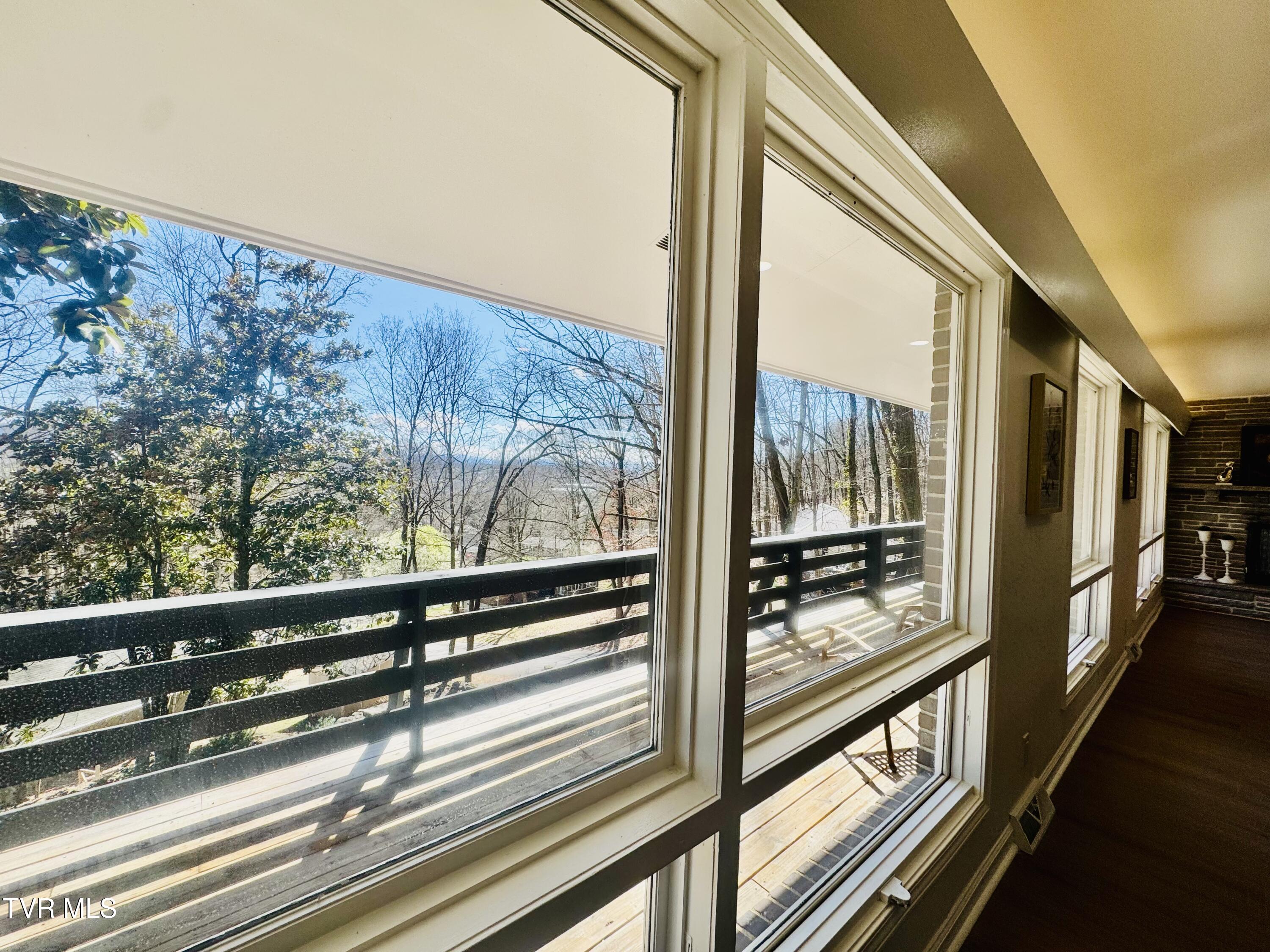 2 Rovan Court Johnson City, TN 37601 - Photo 40 of 86 IMG_9617