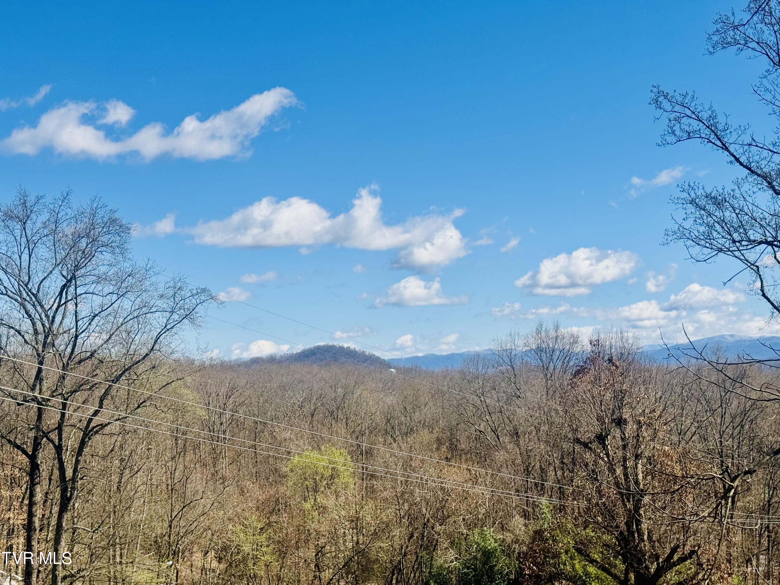 2 Rovan Court Johnson City, TN 37601 - Photo 42 of 86 IMG_9595