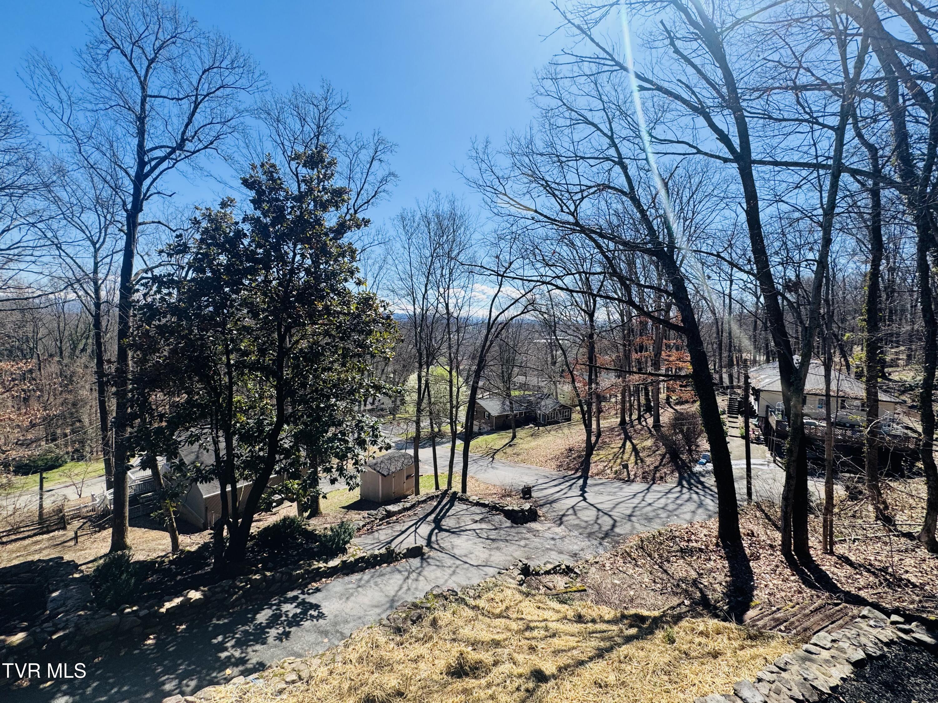2 Rovan Court Johnson City, TN 37601 - Photo 43 of 86 IMG_9611