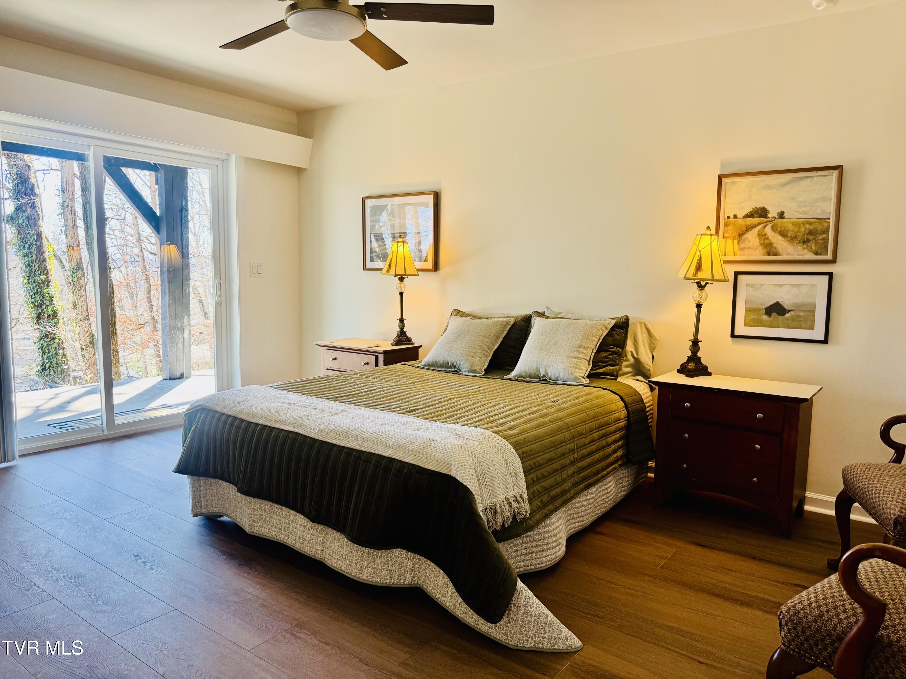 2 Rovan Court Johnson City, TN 37601 - Photo 50 of 86 IMG_9642