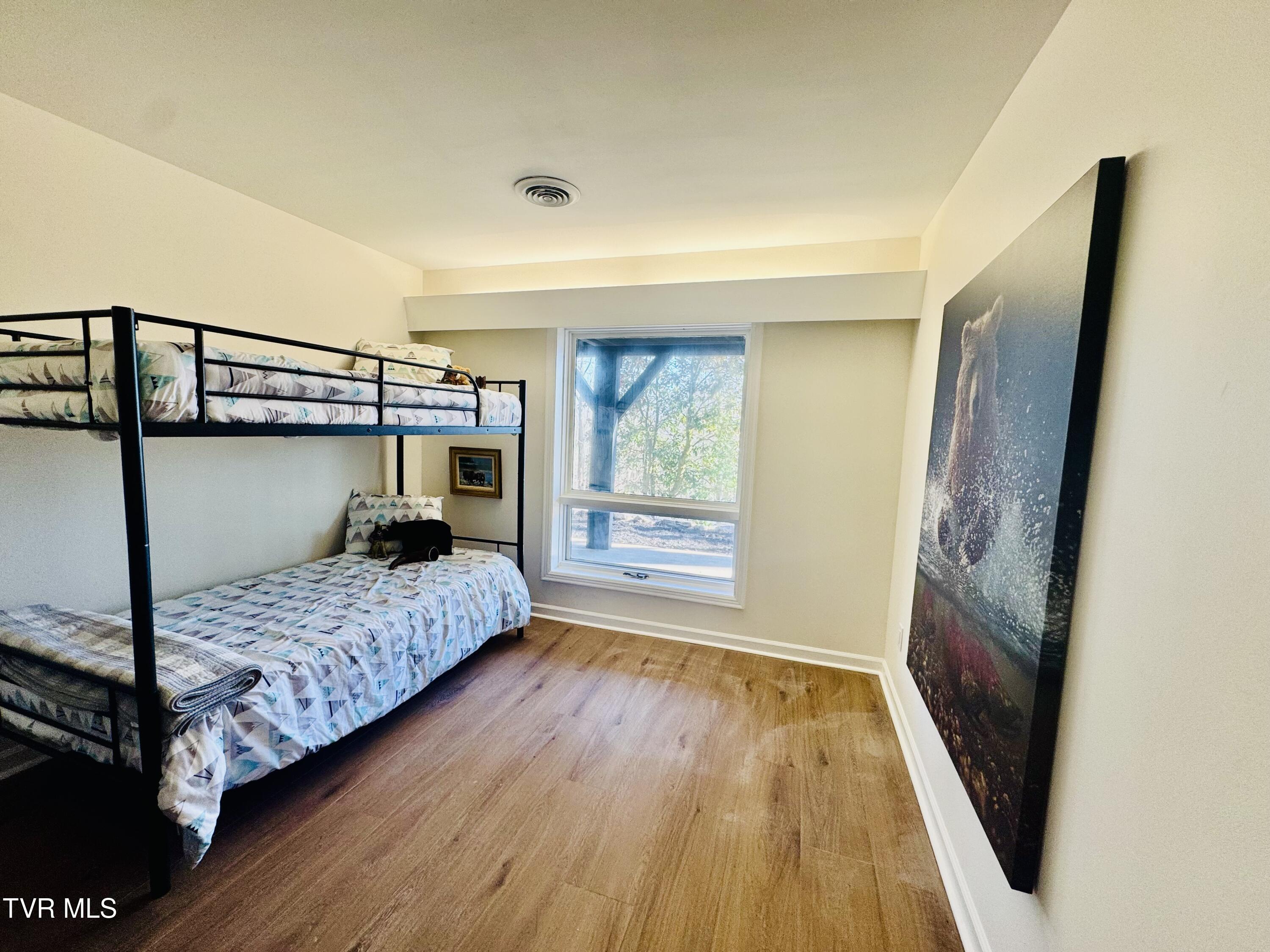 2 Rovan Court Johnson City, TN 37601 - Photo 55 of 86 IMG_9676