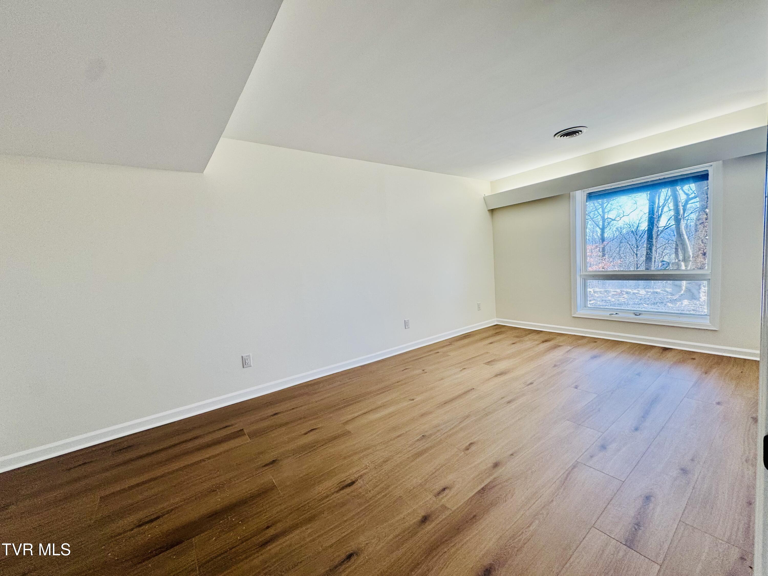 2 Rovan Court Johnson City, TN 37601 - Photo 60 of 86 IMG_9633