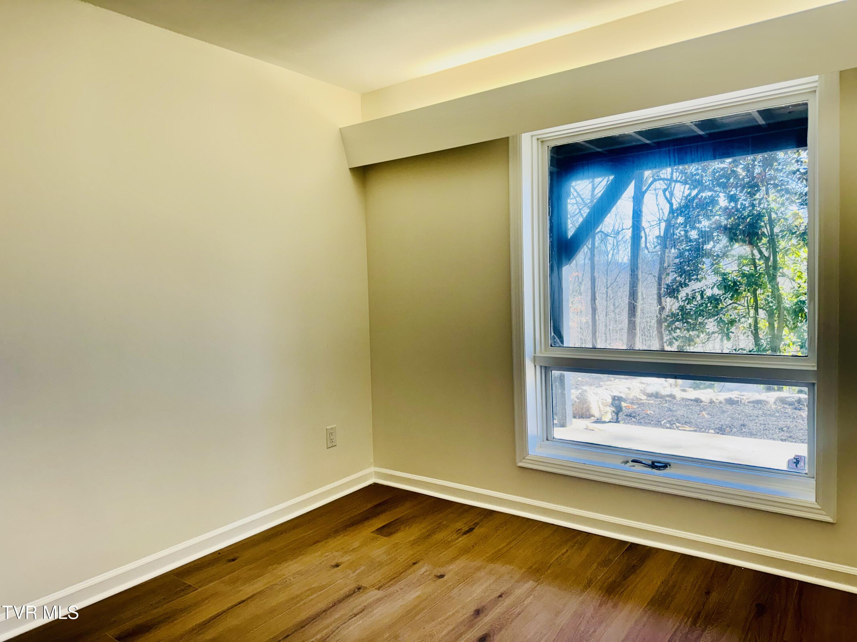 2 Rovan Court Johnson City, TN 37601 - Photo 62 of 86 IMG_9636