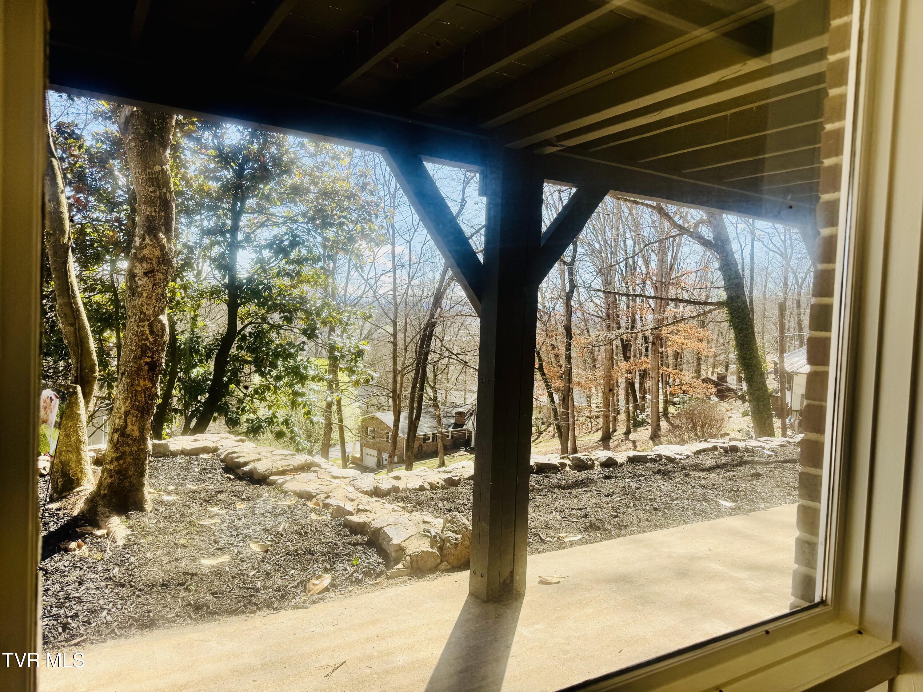 2 Rovan Court Johnson City, TN 37601 - Photo 63 of 86 IMG_9635