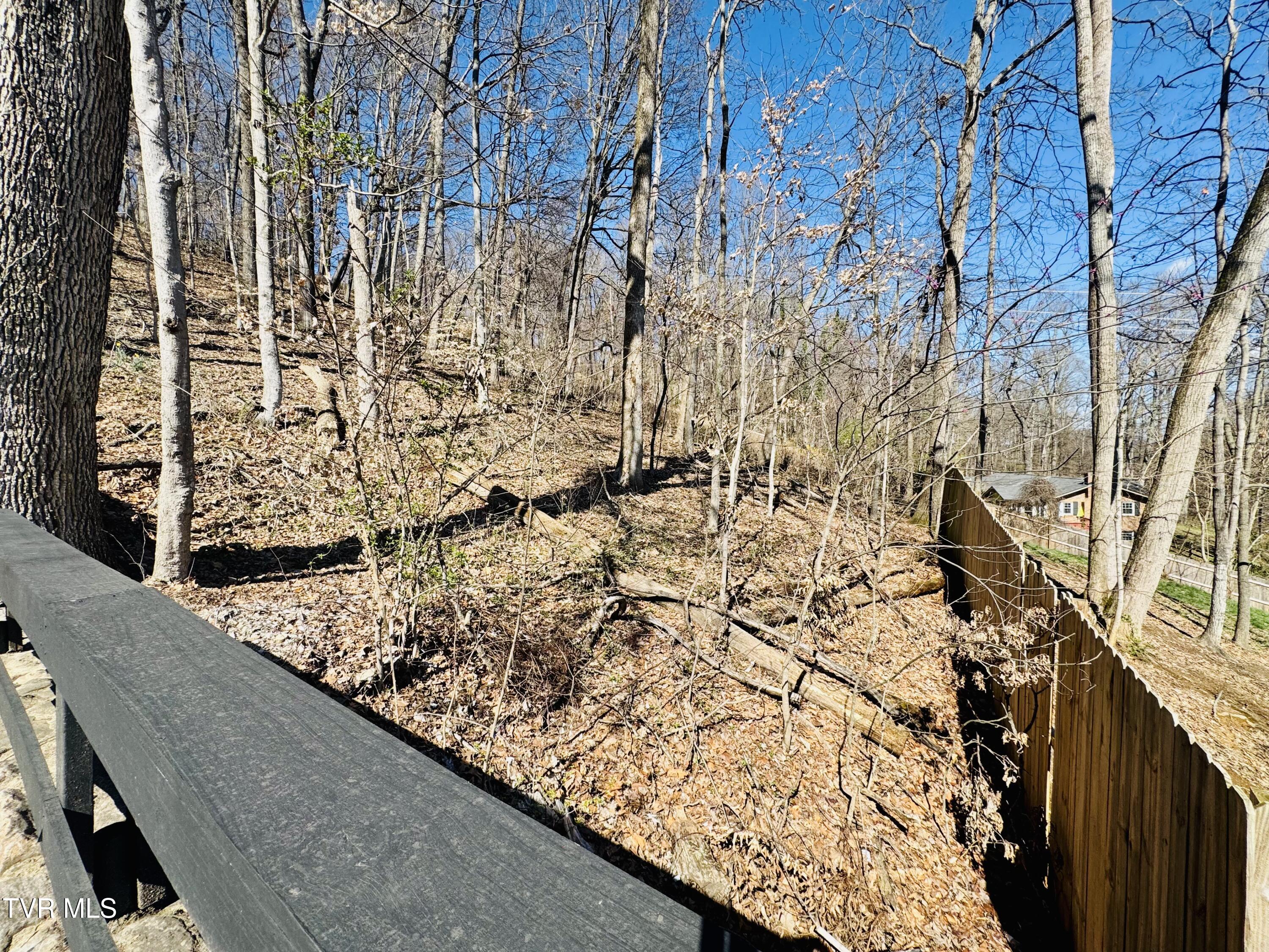 2 Rovan Court Johnson City, TN 37601 - Photo 65 of 86 IMG_9665