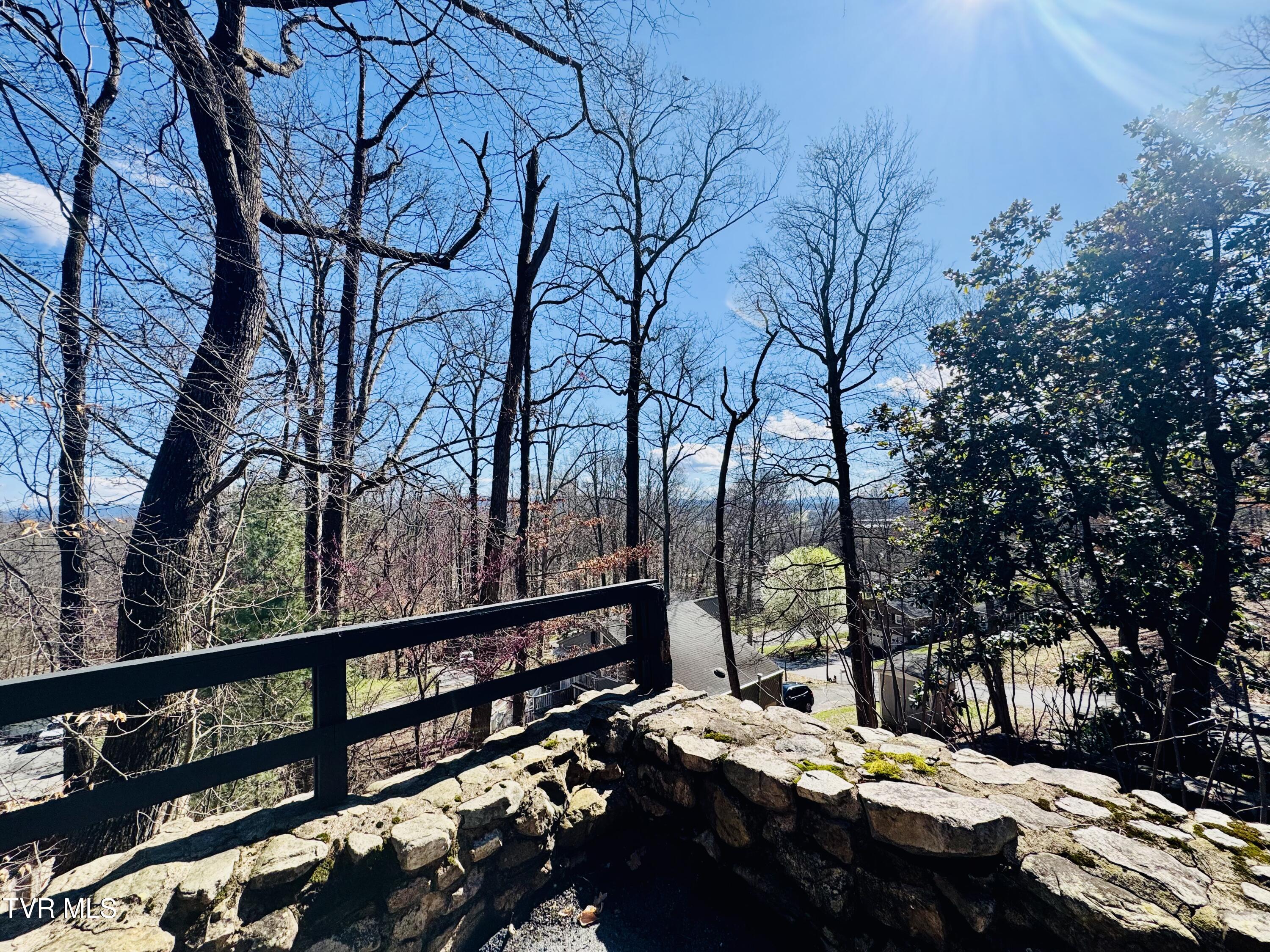 2 Rovan Court Johnson City, TN 37601 - Photo 67 of 86 IMG_9667