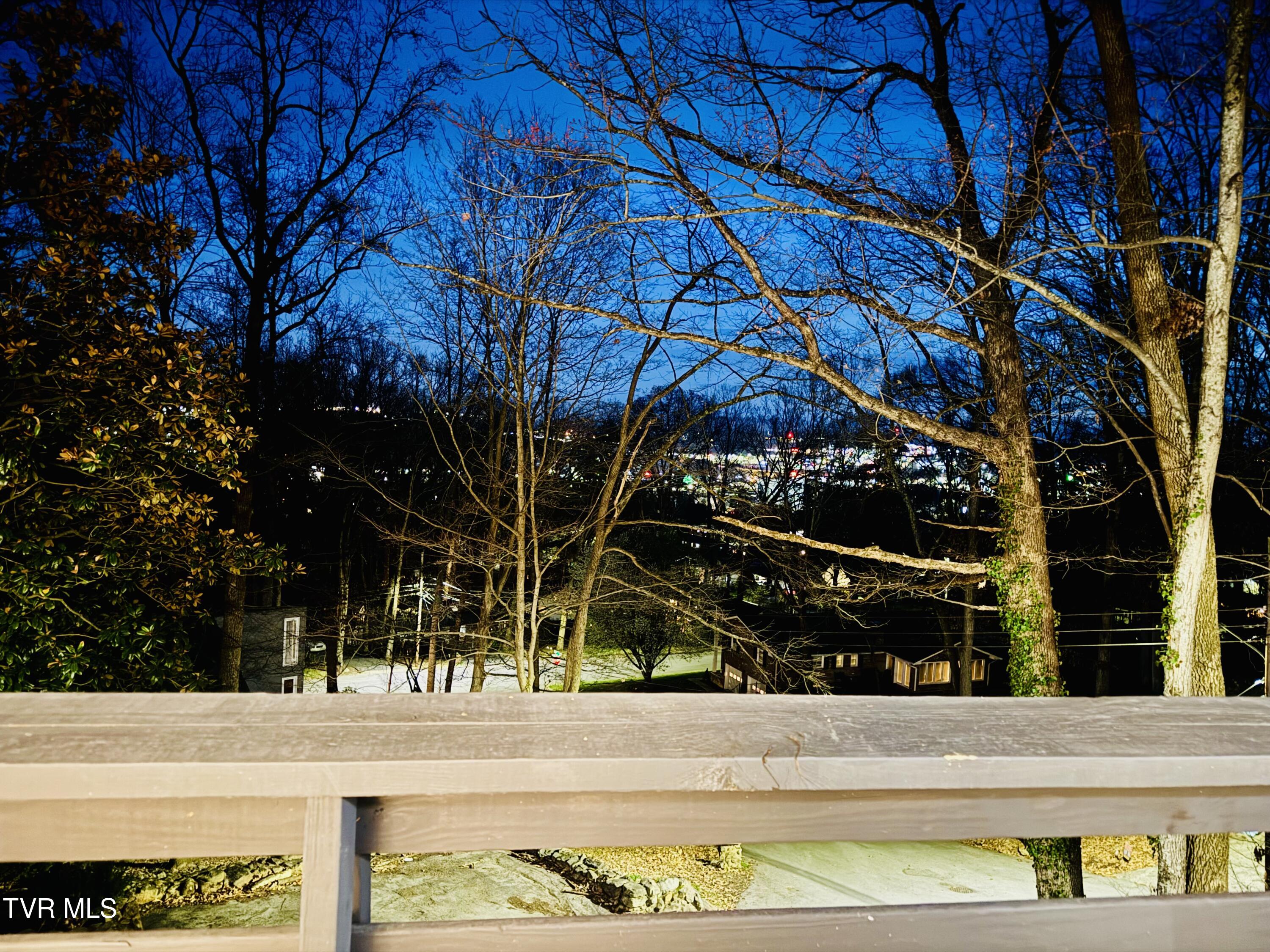 2 Rovan Court Johnson City, TN 37601 - Photo 73 of 86 IMG_9530