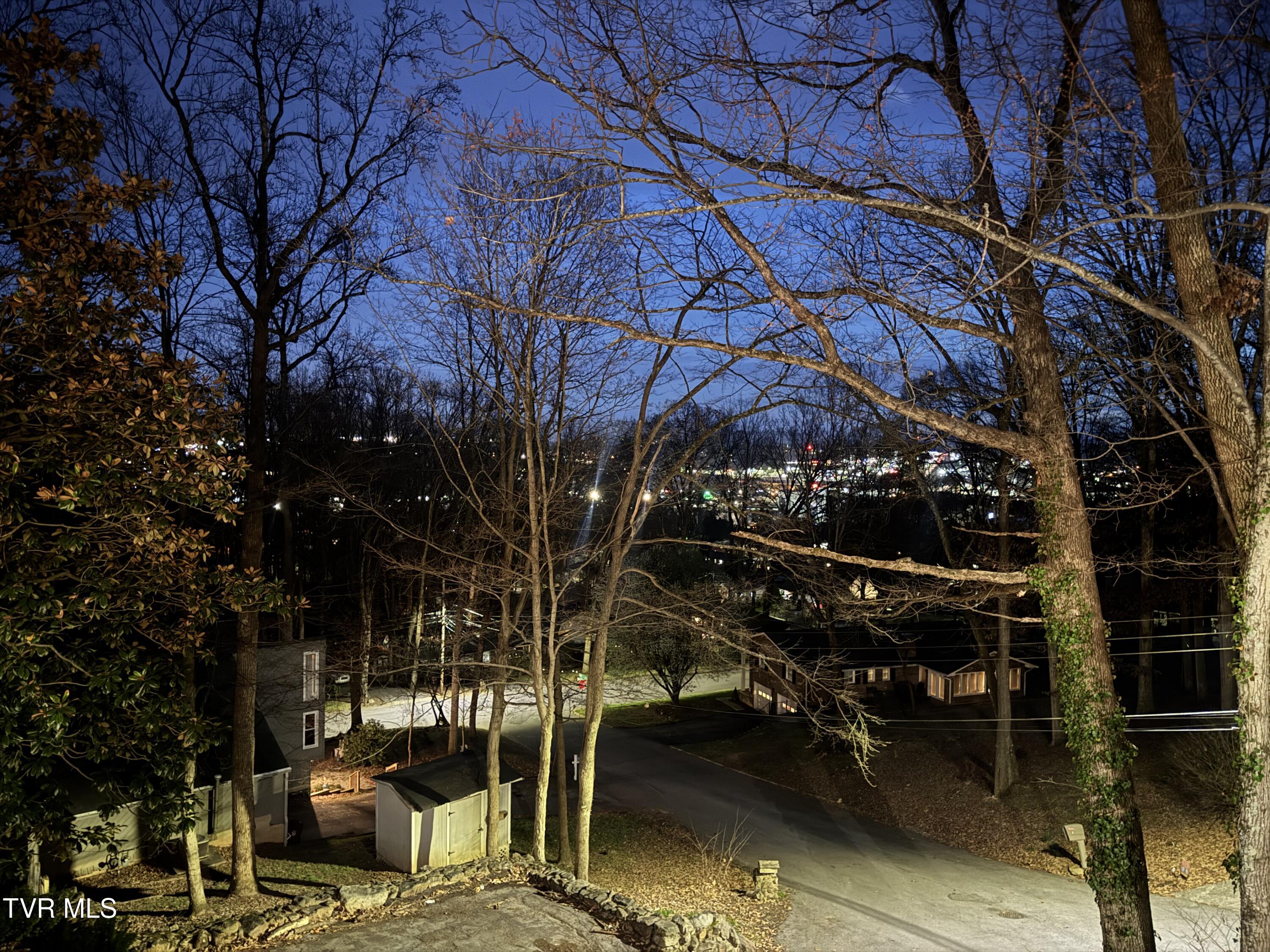 2 Rovan Court Johnson City, TN 37601 - Photo 75 of 86 IMG_9529