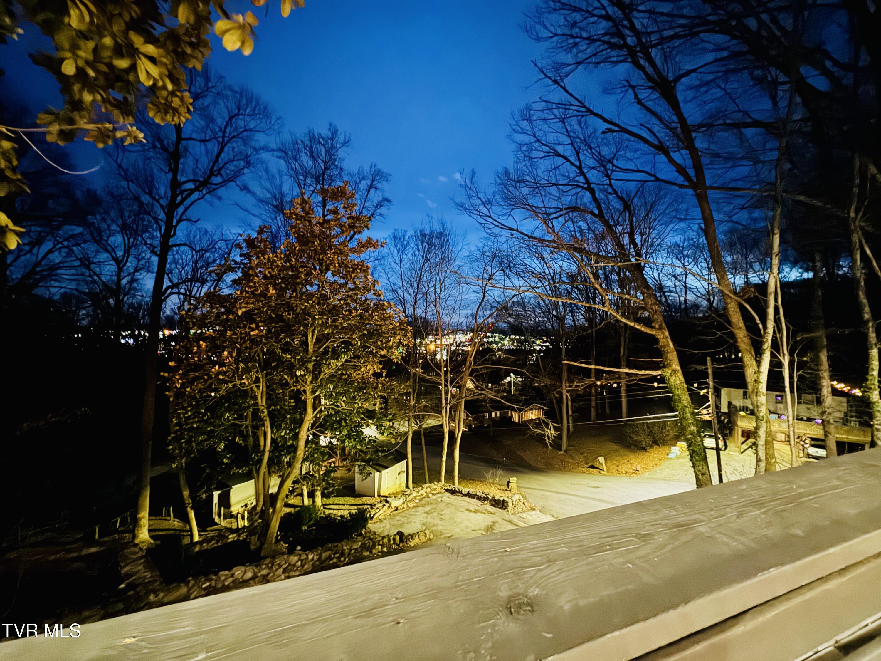 2 Rovan Court Johnson City, TN 37601 - Photo 76 of 86 IMG_9528