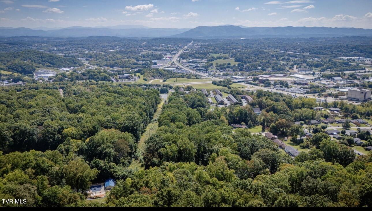 2 Rovan Court Johnson City, TN 37601 - Photo 84 of 86 IMG_9583