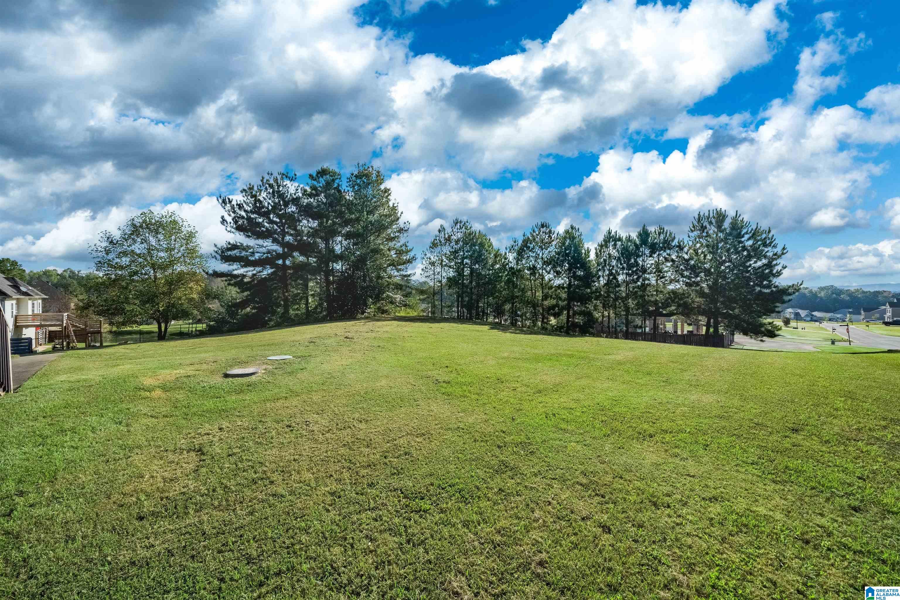 710 Ridgefield Way Odenville, AL 35120 - Photo 26 of 27