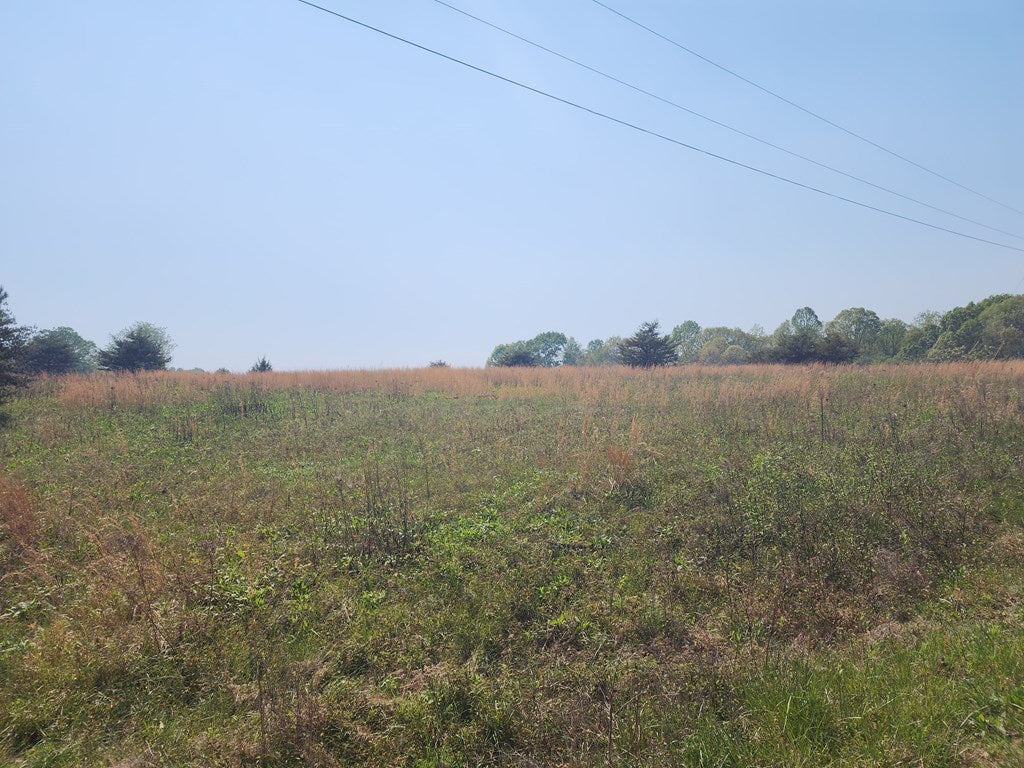 Horseshoe Road, Unit 4 Appomattox, VA 24522 - Photo 2 of 2 Gallery Image 2