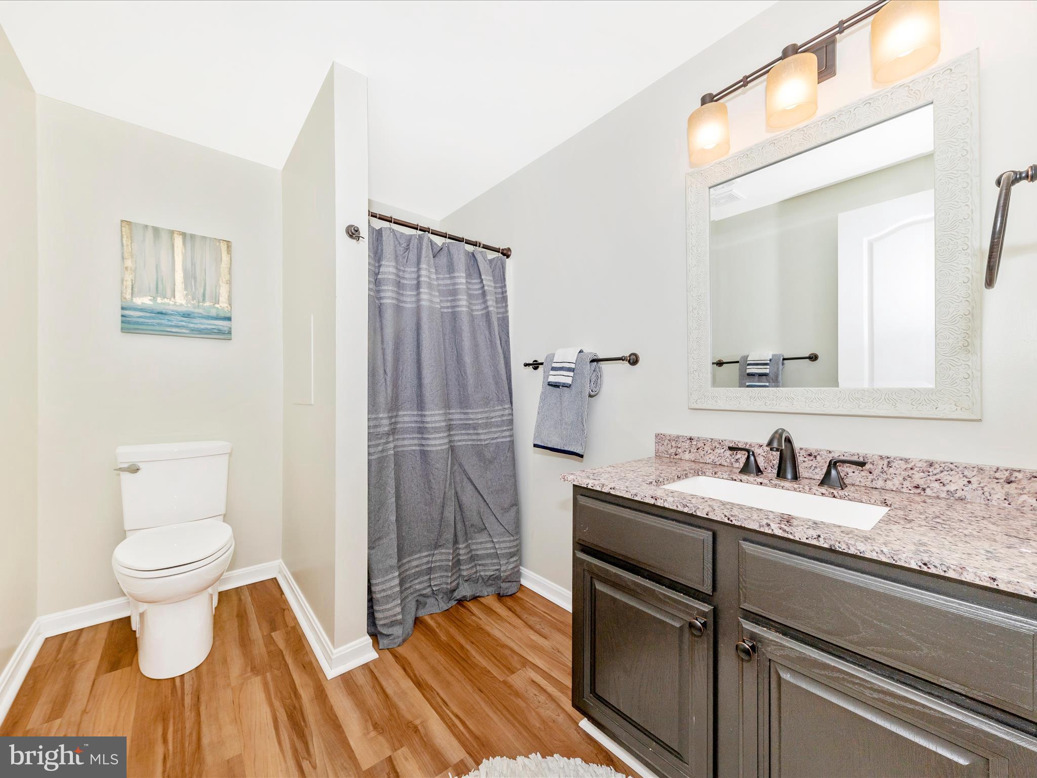 10632 Old Barn Road New Market, MD 21774 - Photo 38 of 76 a bathroom with a sink and a toilet