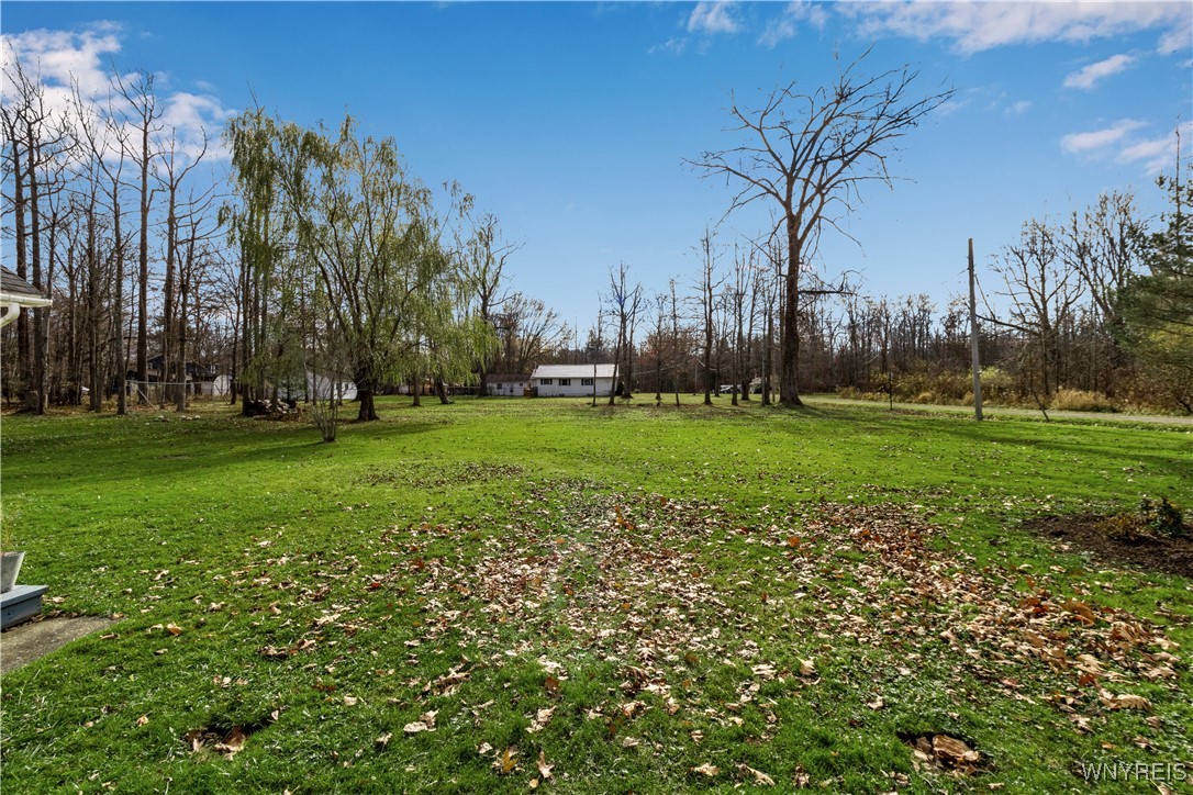 427 Herr Road Evans, NY 14006 - Photo 29 of 30 View of Yard