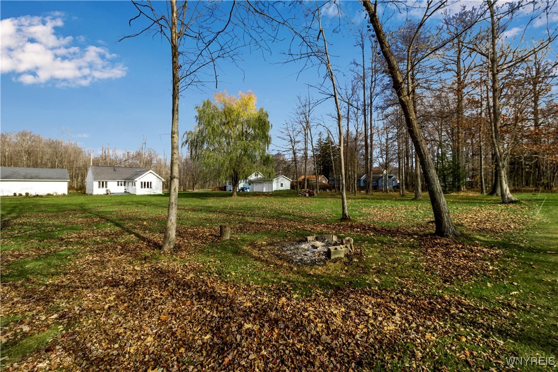 427 Herr Road Evans, NY 14006 - Photo 30 of 30 View of Yard