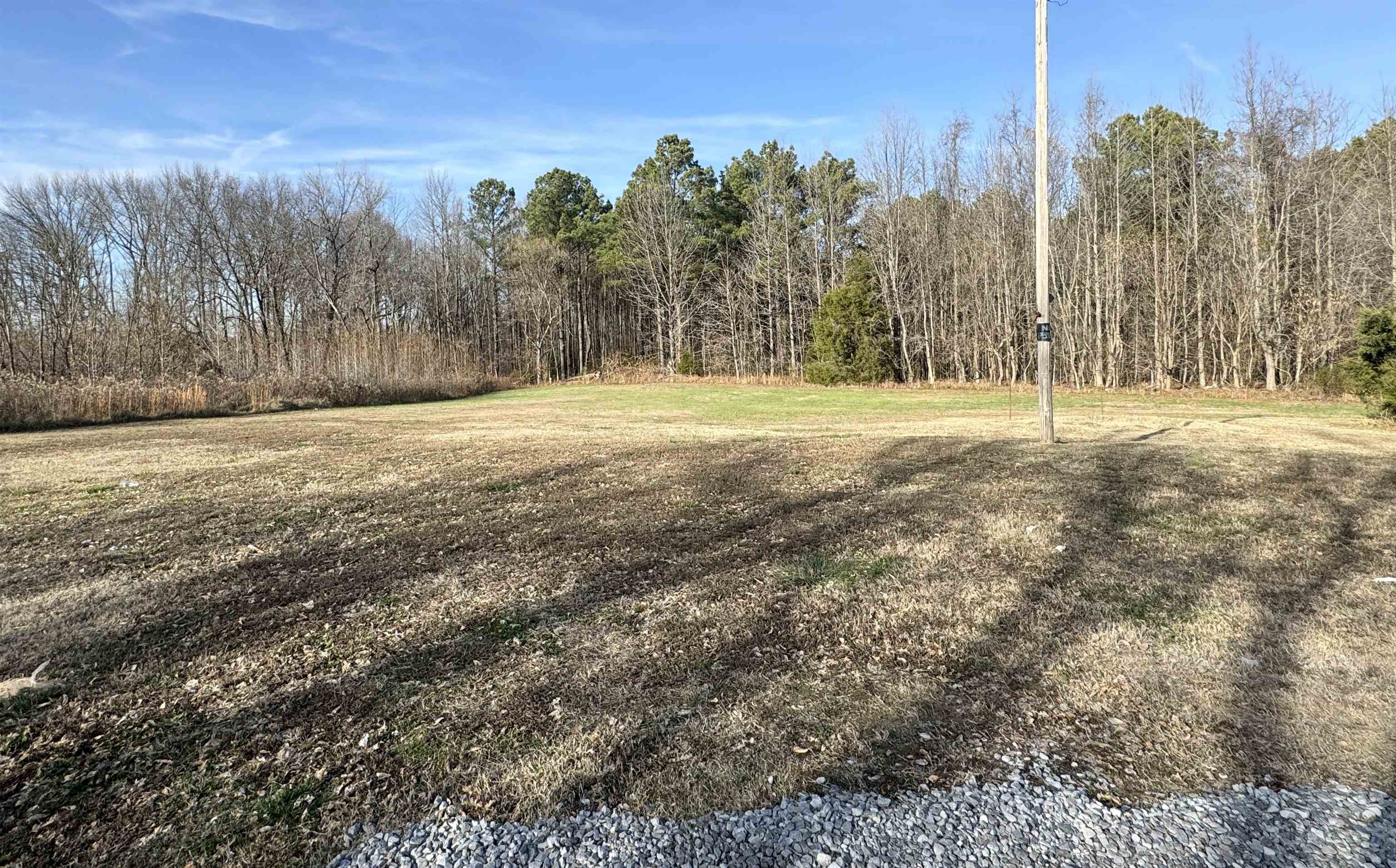 2680 Central Curve Road Ripley, TN 38063 - Photo 5 of 18 a view of a yard with trees